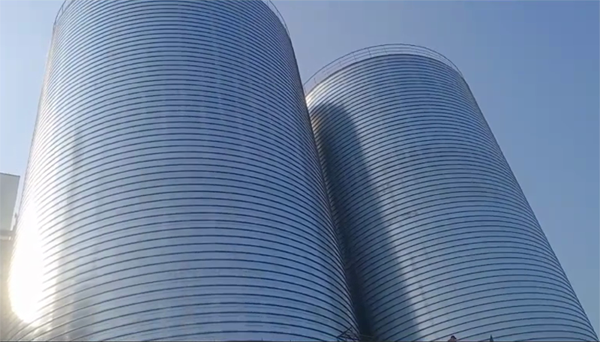 碌曲2座混凝土高架卷板仓